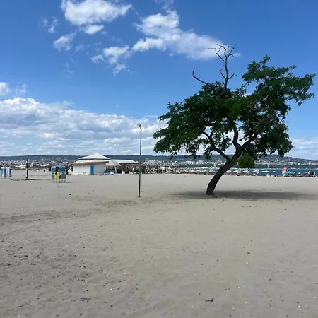 Elizi Summer House In South Bay Апартамент *